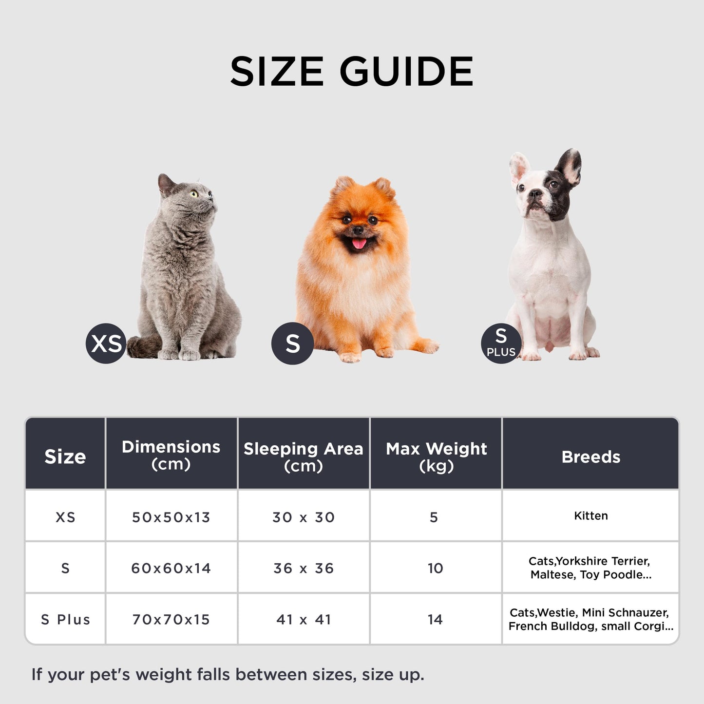 Pawluo Calming Donut Bed – Washable Round Bed for Small Dogs & Cats