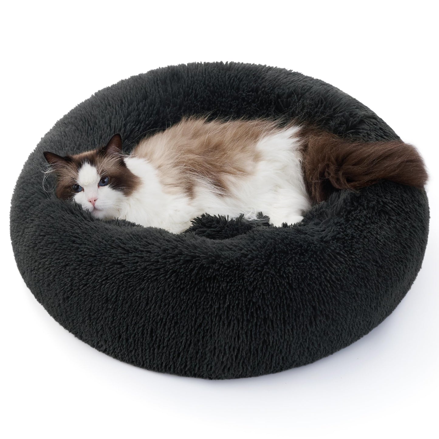 Pawluo Calming Donut Bed – Washable Round Bed for Small Dogs & Cats